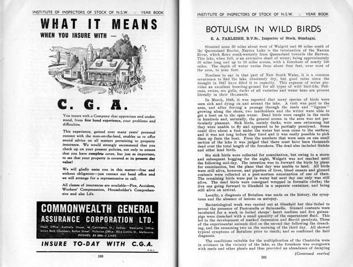 1949 Page 100 101